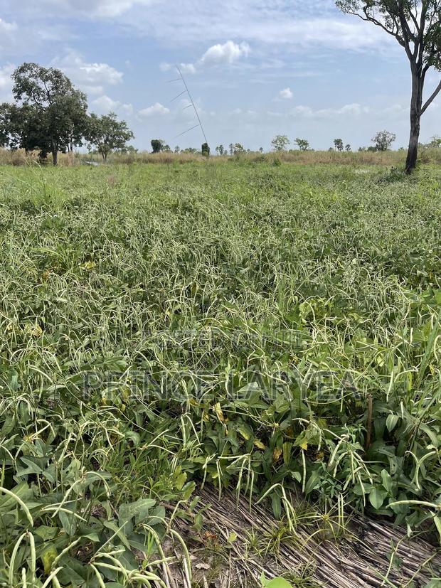30 Acres Of Farmland For Sale · Photo 1