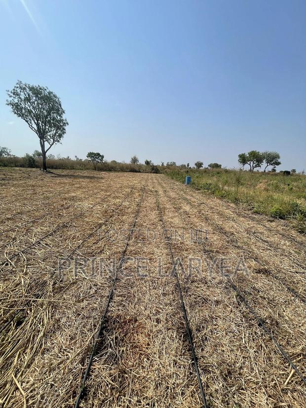 30 Acres Of Farmland For Sale · Photo 2