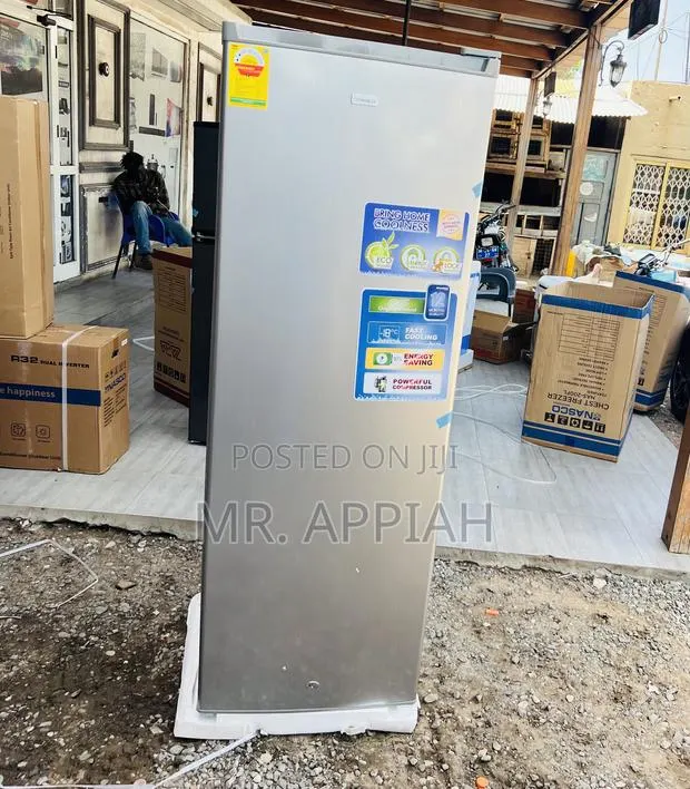 Shop Classic Nasco Single Door Upright Standing Freezer(Gray) · Photo 1
