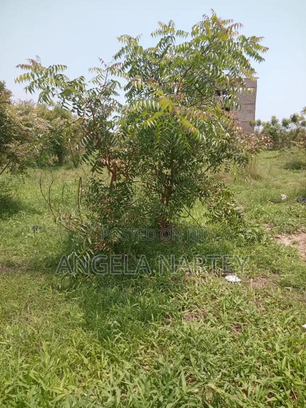 Main Roadside Land at Ajiriganor-East Legon Highway · Photo 2