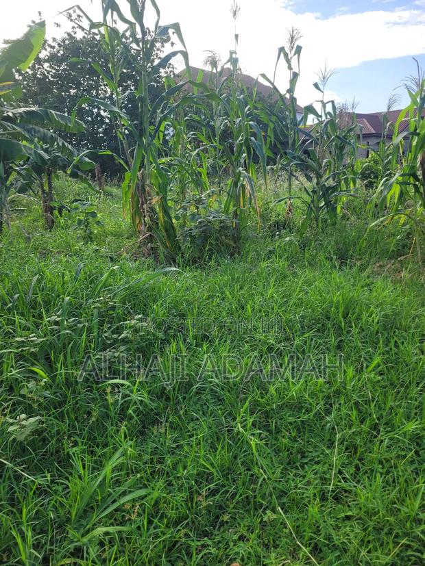 Ten Plots of Land for Sale at Trede Sepease · Photo 1