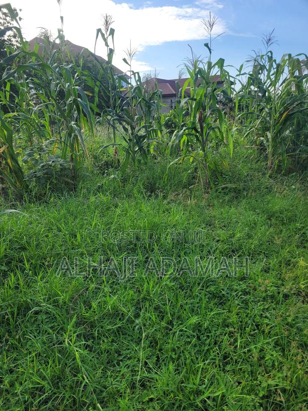 Ten Plots of Land for Sale at Trede Sepease · Photo 3