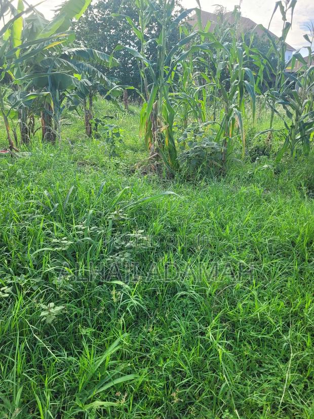 Ten Plots of Land for Sale at Trede Sepease · Photo 4