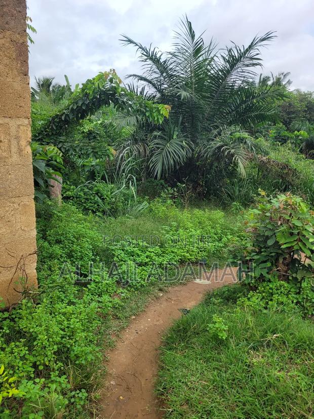 Two Plots of Land at Sorkoban Krofrom Adumasa · Photo 1