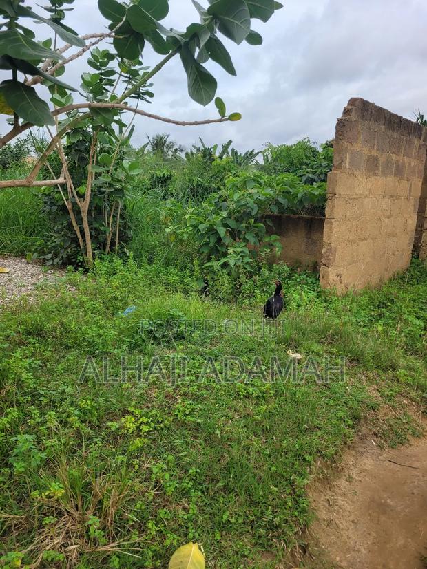 Two Plots of Land at Sorkoban Krofrom Adumasa · Photo 3