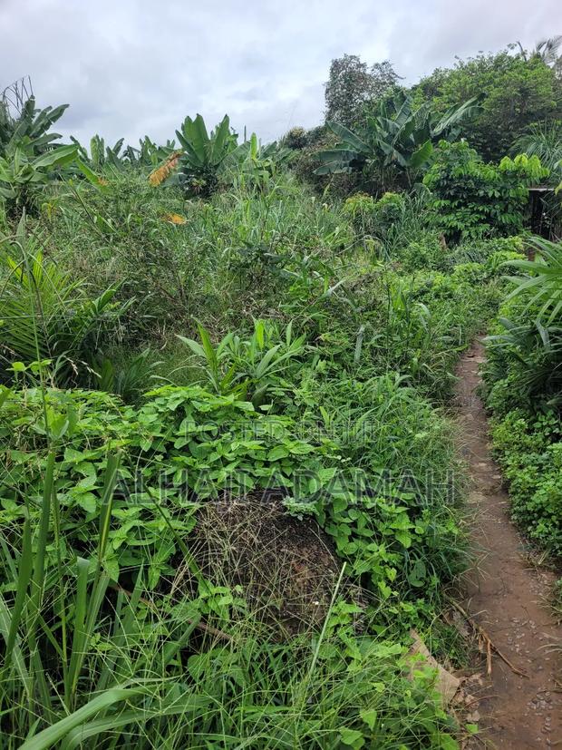 Two Plots of Land at Sorkoban Krofrom Adumasa · Photo 4