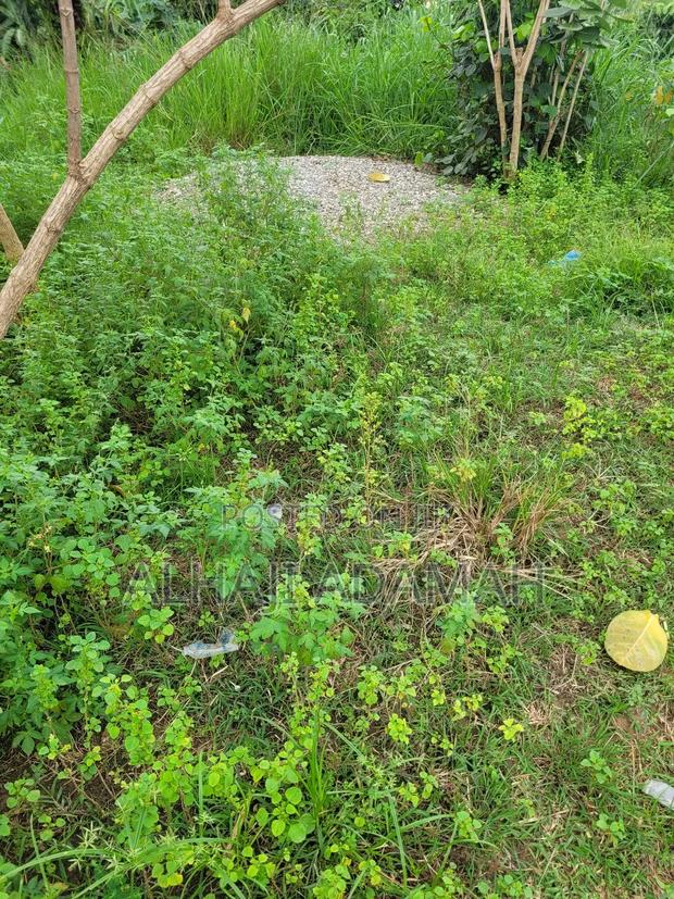 Two Plots of Land at Sorkoban Krofrom Adumasa · Photo 5