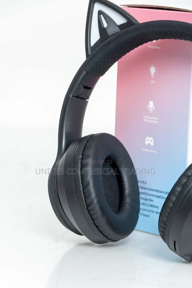 Headset (Cay Cat) · Photo 4