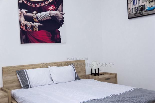 Furnished Studio Apartment in Osu, Nyaniba Estate for rent · Photo 3