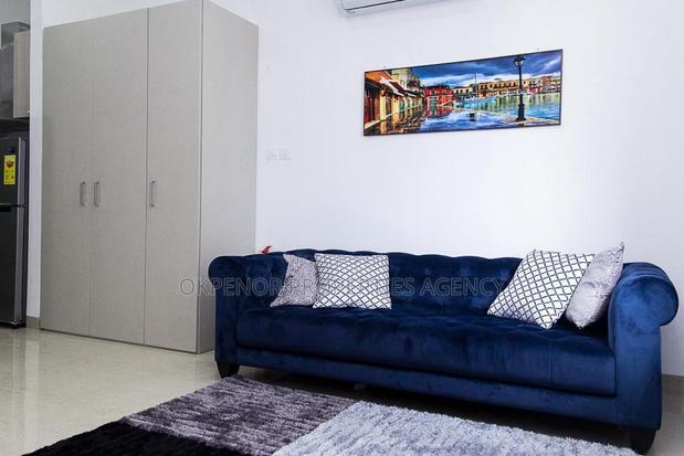Furnished Studio Apartment in Osu, Nyaniba Estate for rent · Photo 1