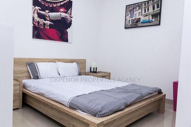 Furnished Studio Apartment in Osu, Nyaniba Estate for rent · Photo 7