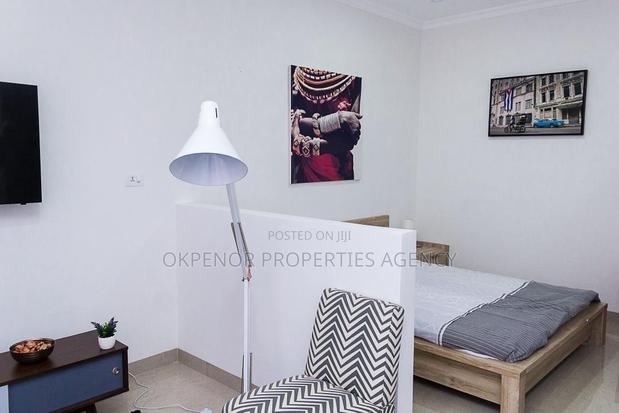Furnished Studio Apartment in Osu, Nyaniba Estate for rent · Photo 8