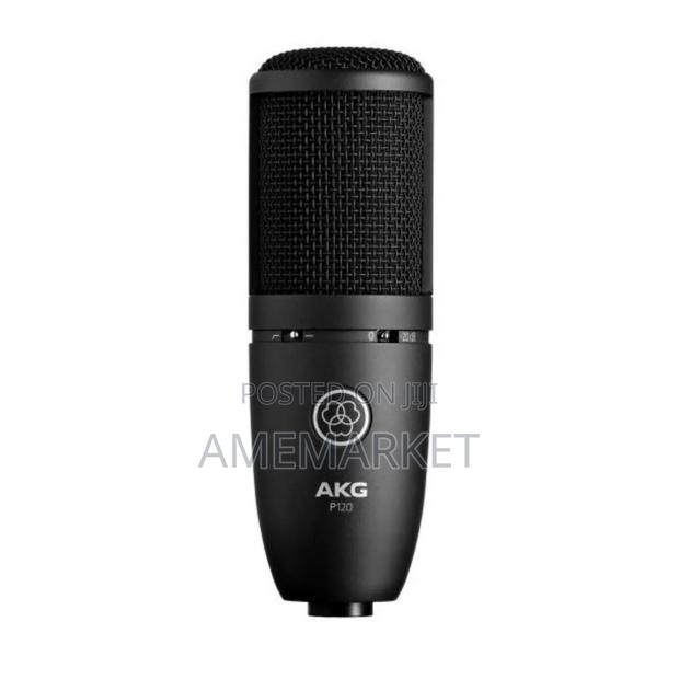 Akg-P120 Professional Recording Condenser Microphone · Photo 2