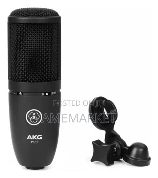 Akg-P120 Professional Recording Condenser Microphone · Photo 3