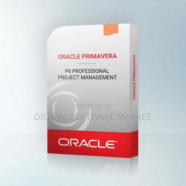 Primavera P6 Professional Project Management · Photo 1