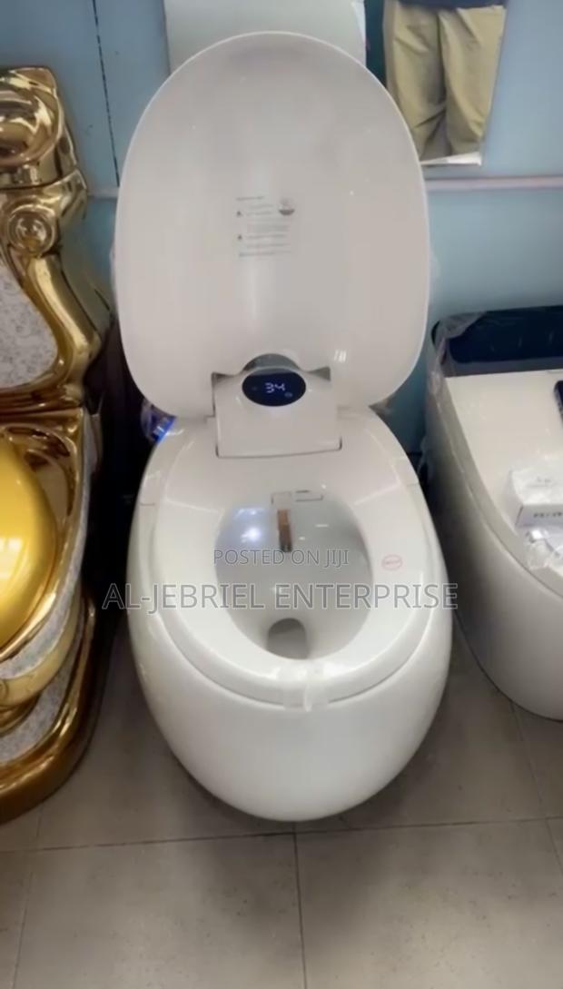 Smart Water Closet (Motion Sensor/Remote Control) · Photo 2