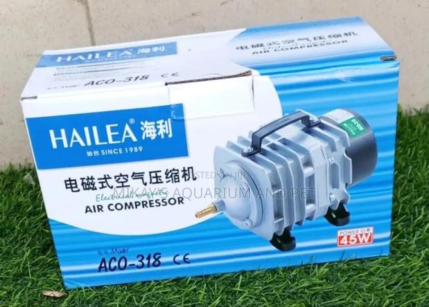 Hailea 45w Air Compressor · Photo 1