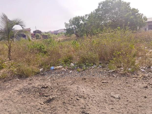 Residential Land At Okushibiade (Amasaman) · Photo 2