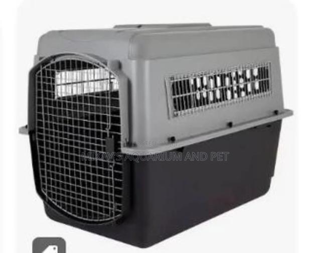 Large Plastic Dog and Cat Cage for Travelling · Photo 1