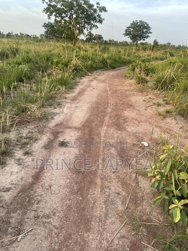 70 Acres of Farmland in Kintampo for Sale · Photo 1