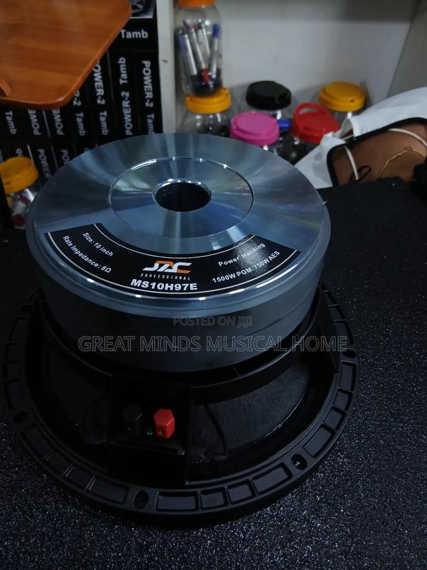 Jac 10 Inches Double Magnet Naked Speaker · Photo 3