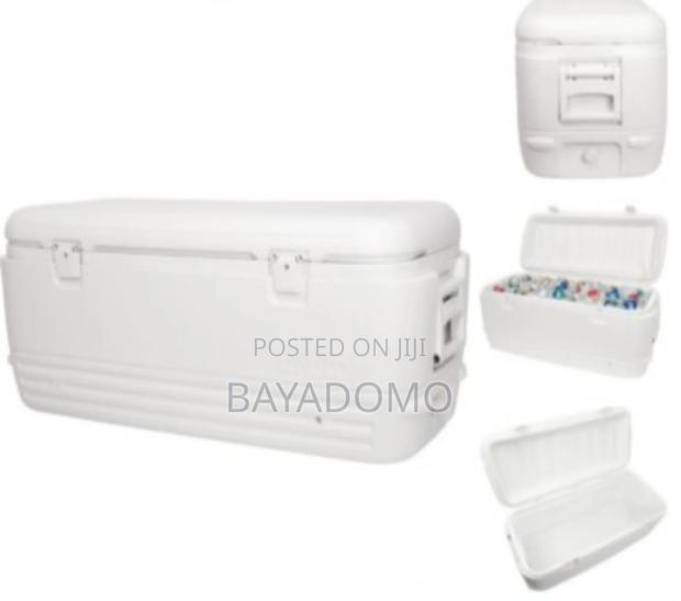 Whitey Ice Chest Igloo: Rent · Photo 1