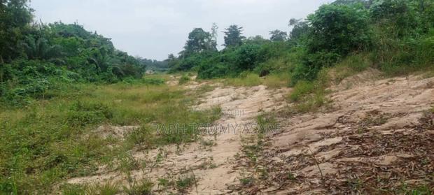 One Acre Farm Land for Sale · Photo 2
