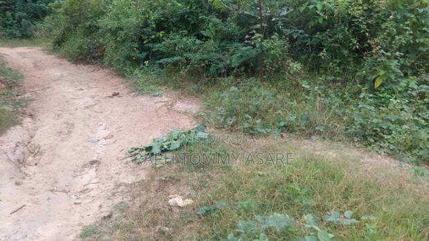 One Acre Farm Land for Sale · Photo 3