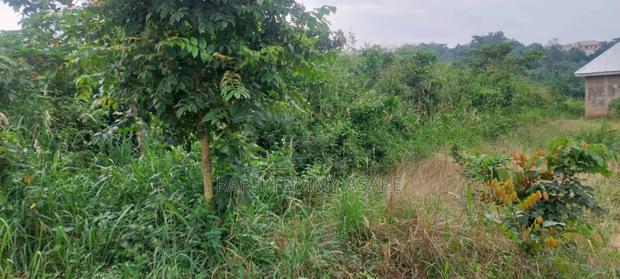 One Acre Farm Land for Sale · Photo 4