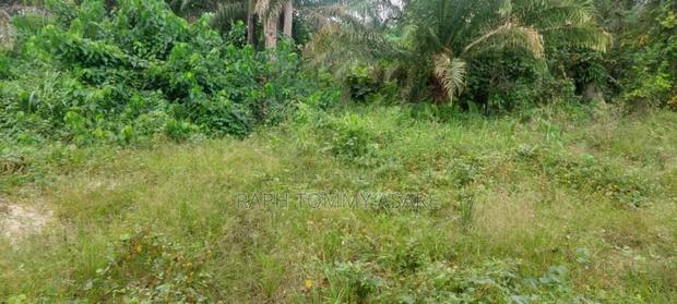 One Acre Farm Land for Sale · Photo 5