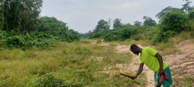 One Acre Farm Land for Sale · Photo 6