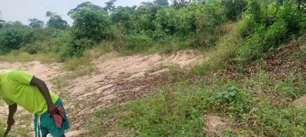 One Acre Farm Land for Sale · Photo 7