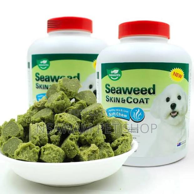 Seaweed Skin and Coat · Photo 1