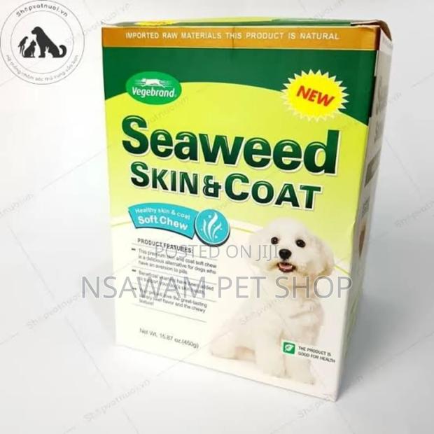 Seaweed Skin and Coat · Photo 2