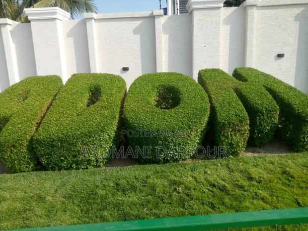 Landscaping and Garden Services in Ghana · Photo 4