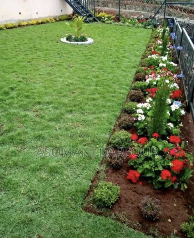 Landscaping and Garden Services in Ghana · Photo 8