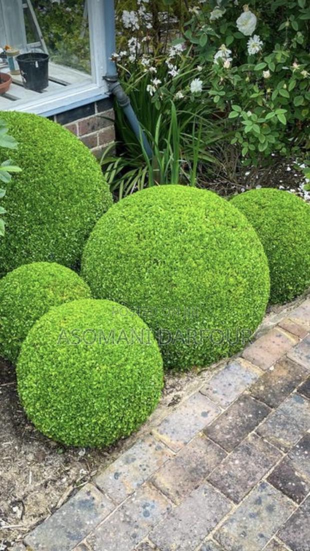 Landscaping and Garden Services in Ghana · Photo 2