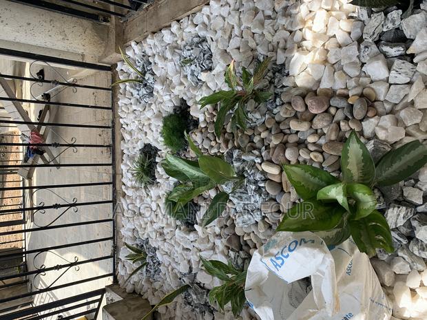Landscaping and Garden Services in Ghana · Photo 3