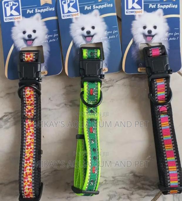 Cute Dog Collars · Photo 1