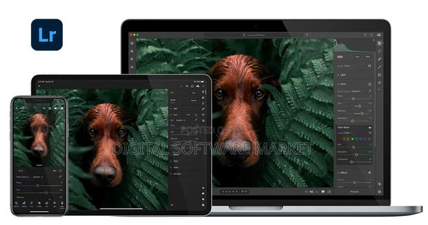 Adobe Lightroom 15 for Mac Lifetime License · Photo 2