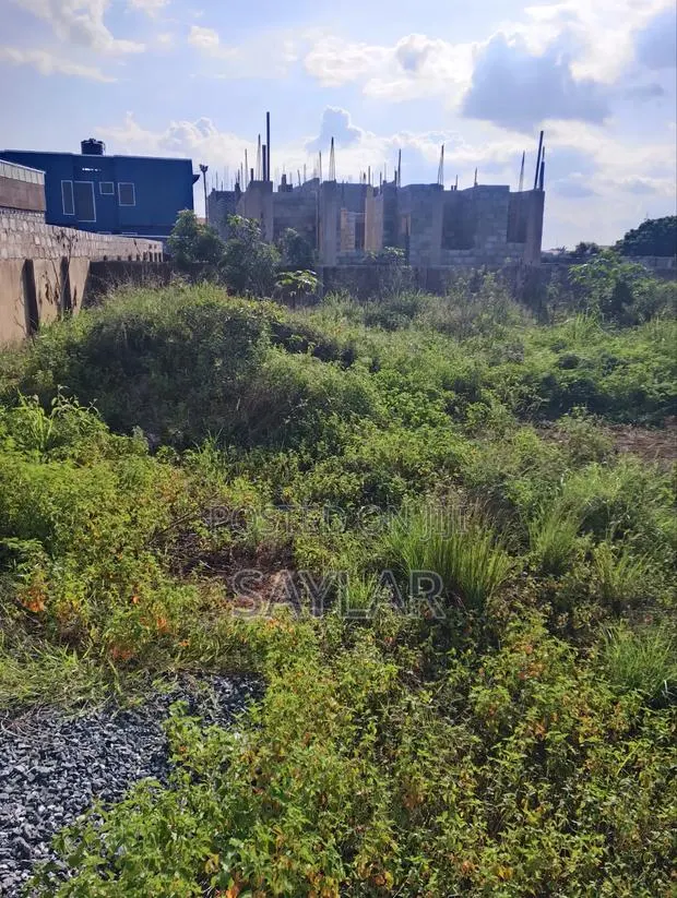 2 Plots for Sale at Manet Already Fenced With Gate Tittled · Photo 1