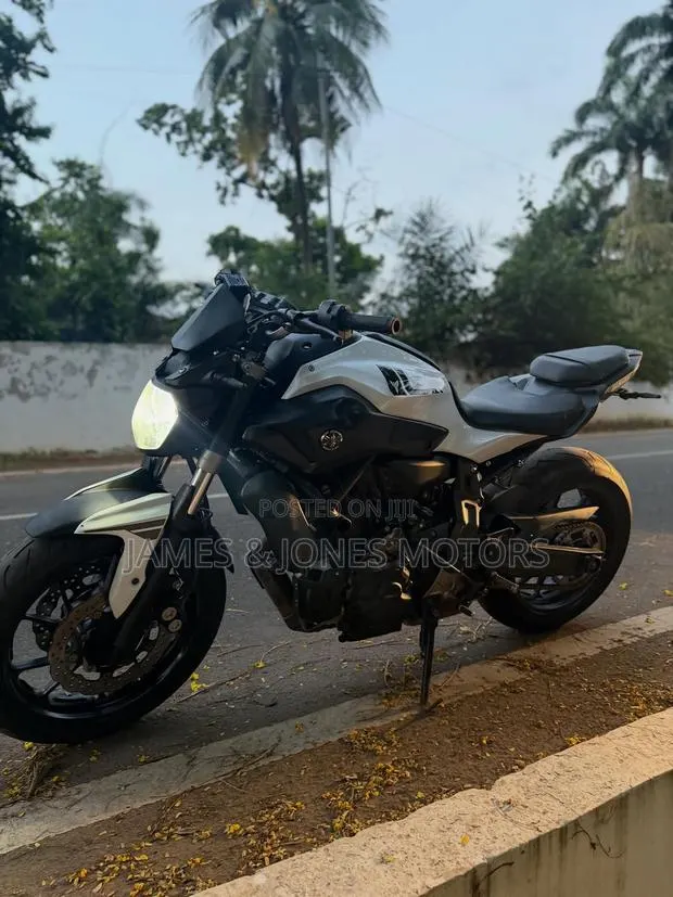 Yamaha MT-07 2017 Gray · Photo 1