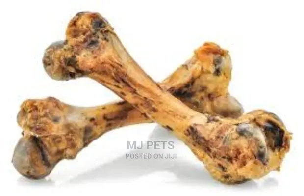 Dog Femur Toy Bone · Photo 1