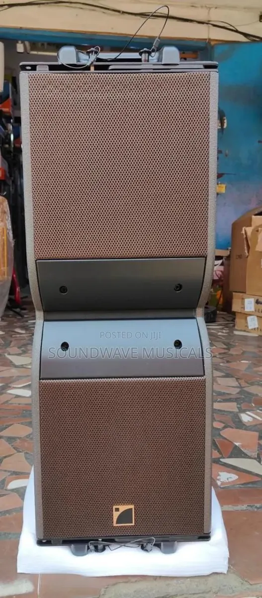 Kara 12 Inches Line Arrays · Photo 1