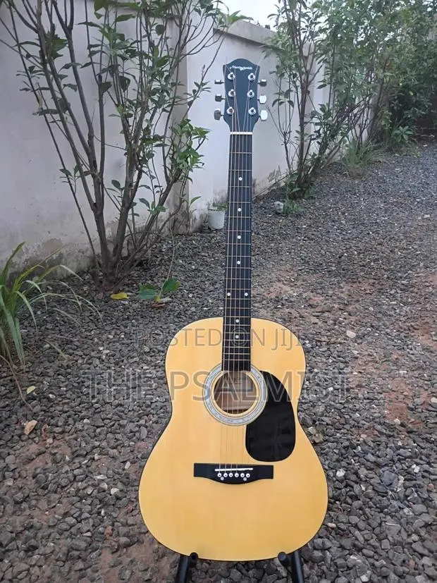 Martin Smith Acoustic Guitar · Photo 1