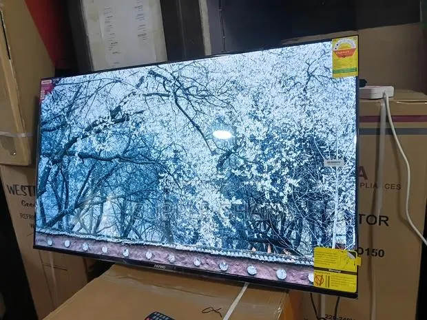 Asano 55-Inch TV – Big, Bold Beautiful · Photo 1