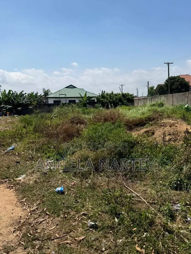 Walled and Gated Two and Half Plot at Community 17- Lashibi · Photo 4