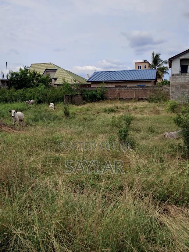 Nice Half Plot Klagon With TDC Documents by Regimaneul Estates Fence · Photo 2