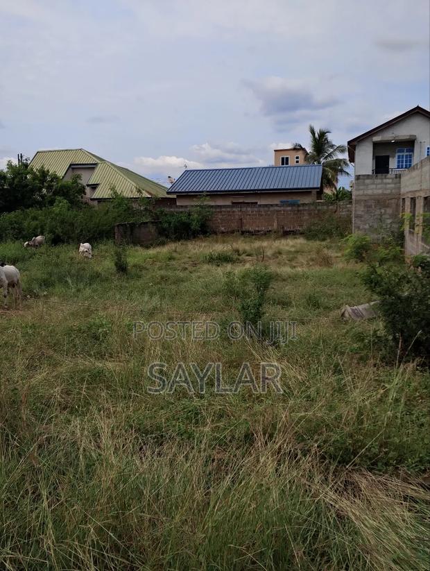 Nice Half Plot Klagon With TDC Documents by Regimaneul Estates Fence · Photo 3