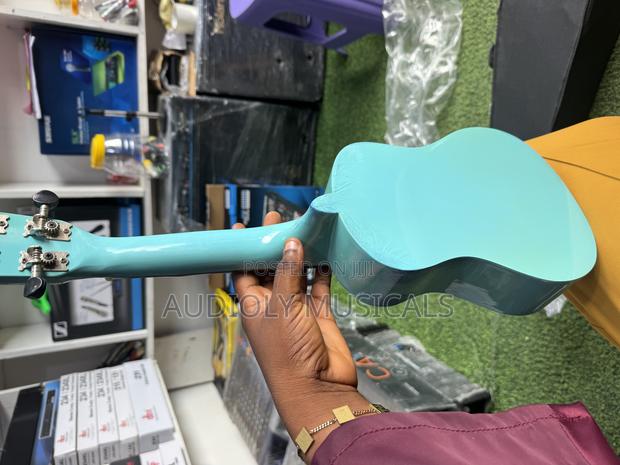 Acl Ukulele for Professionals · Photo 3